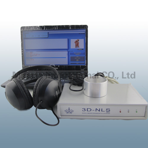 3D-NLS