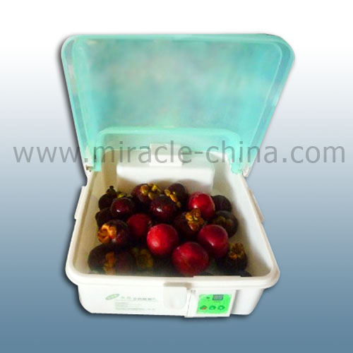Fruit