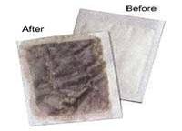 detox foot patch