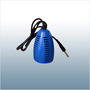 Ion
